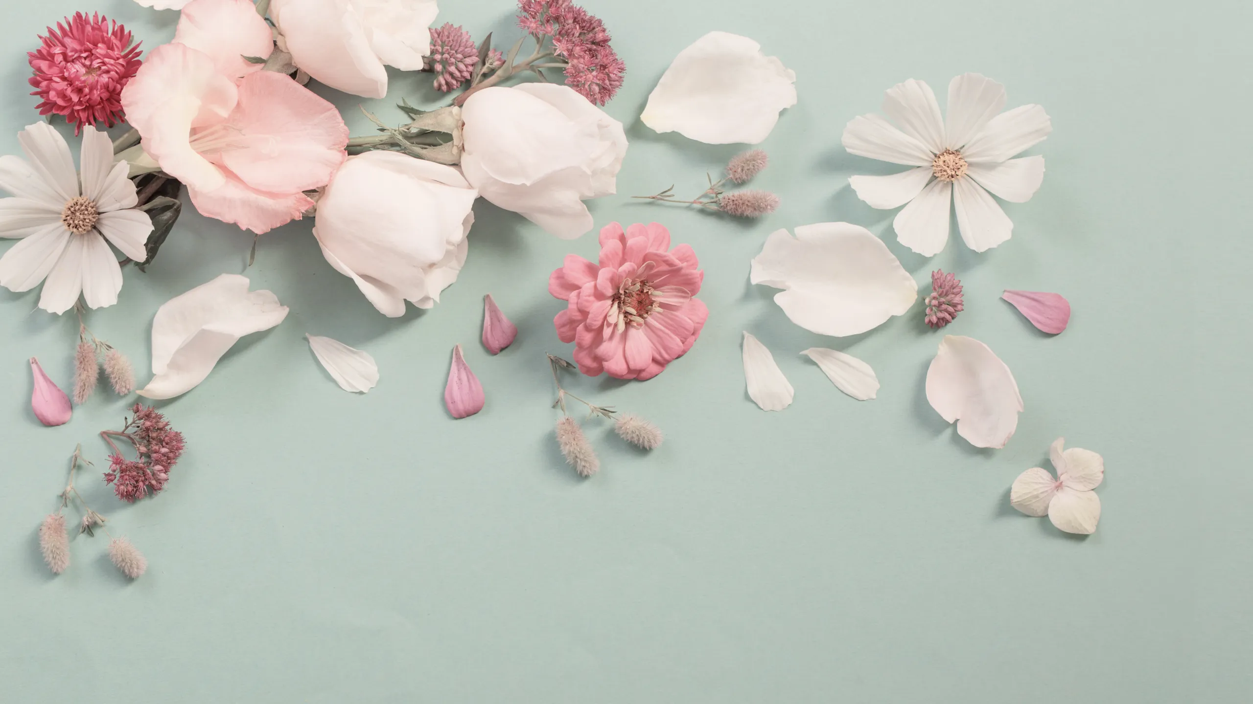 Zarte Blumen und Blütenblätter auf pastellfarbenem Hintergrund als Symbol für Ruhe, Achtsamkeit und Schönheit der Natur